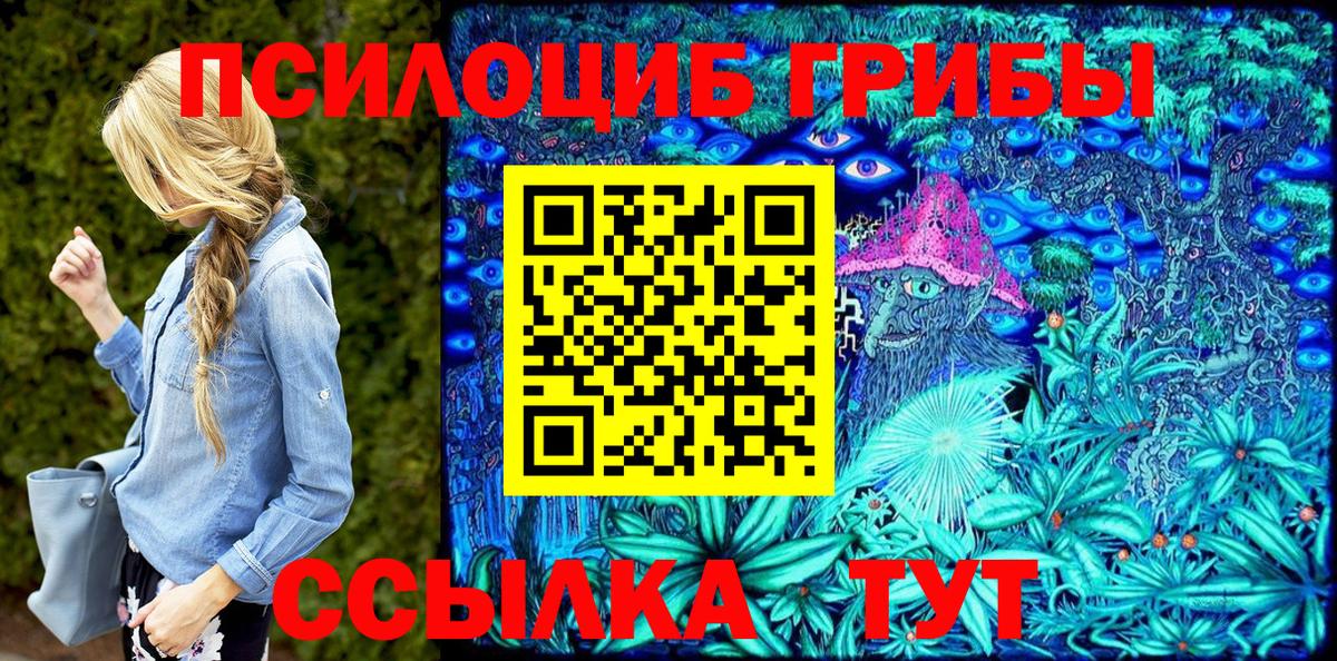 Балашов  Галлюциногенные грибы Cubensis  Вход с VPN  Псилоцибиновые грибы GOLDEN TEACHER 