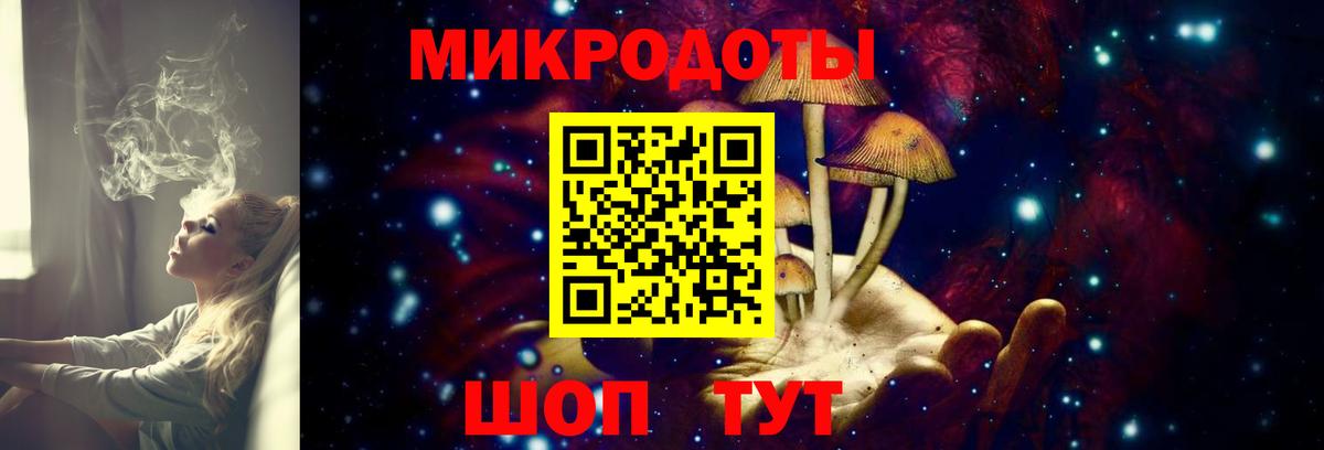 Псилоцибиновые грибы Psilocybine cubensis Балашов